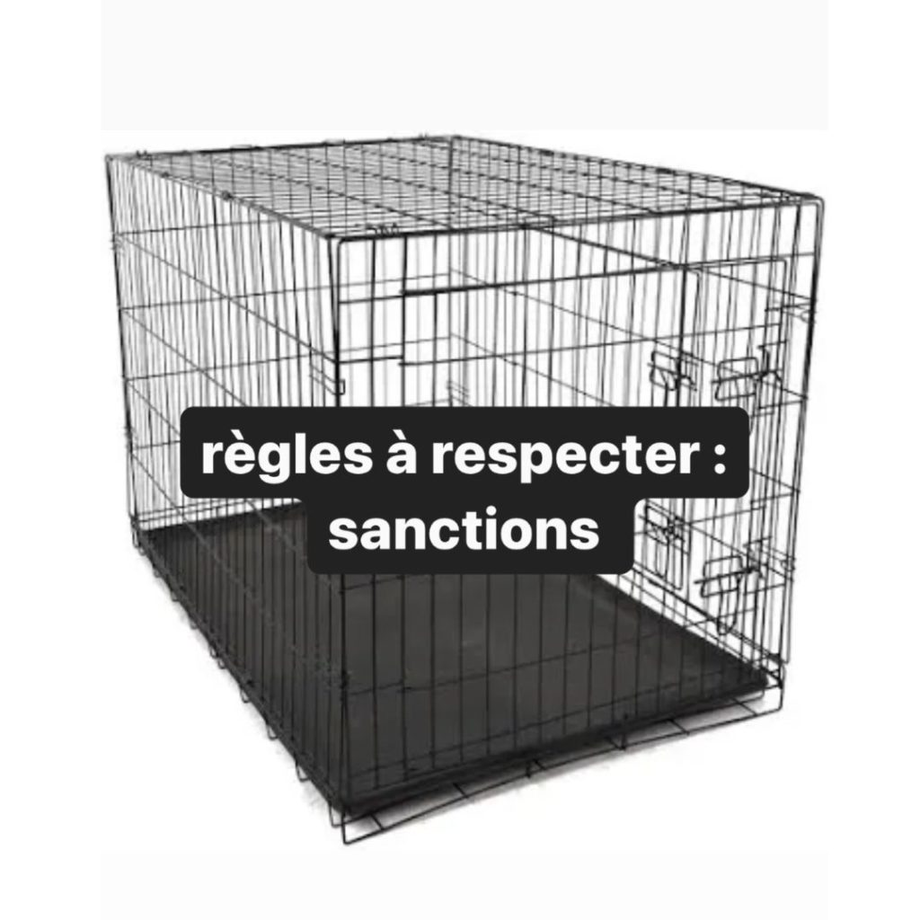 "règles à respecter et sanctions" titre écrit sur une image de cage