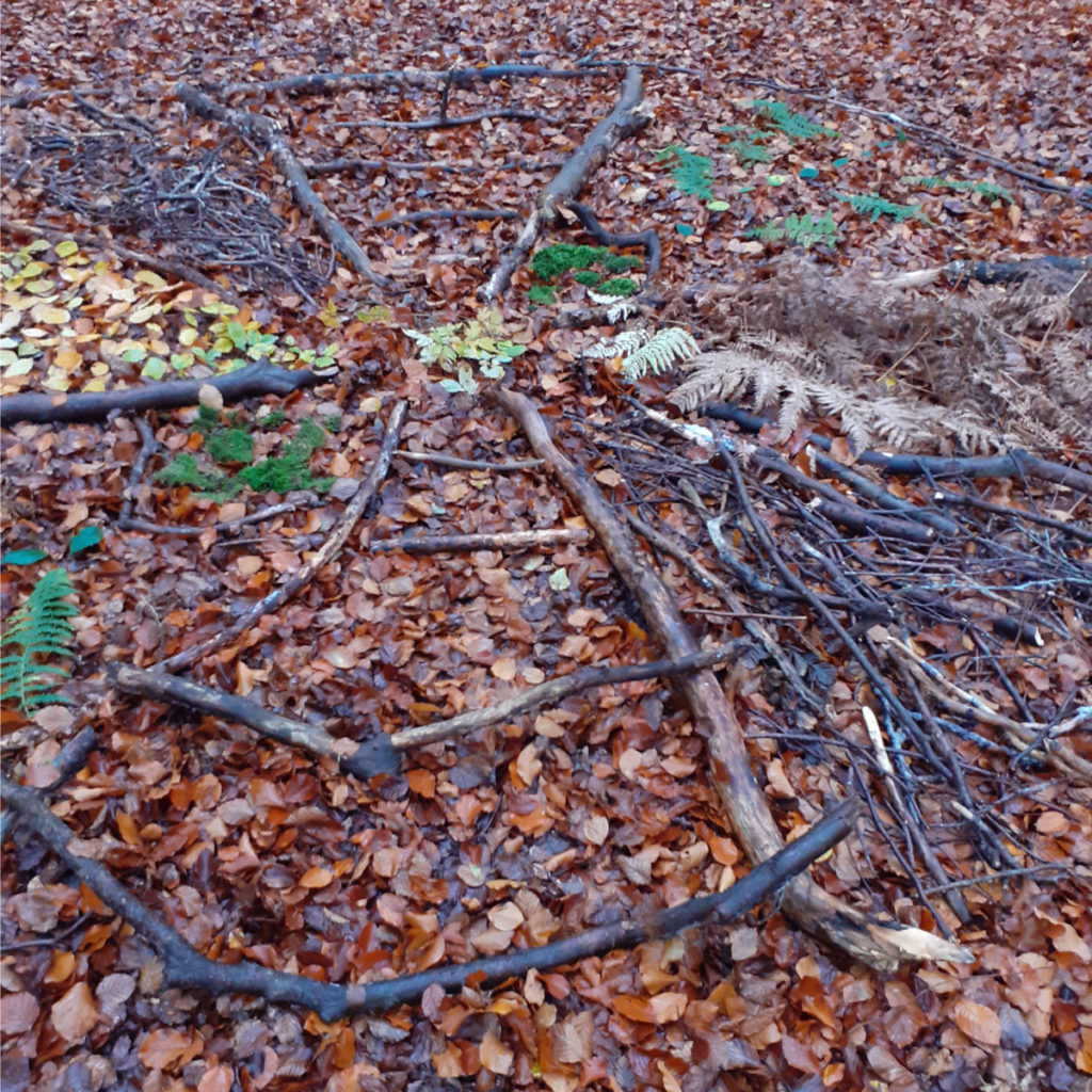 création land-art : mandala au sol