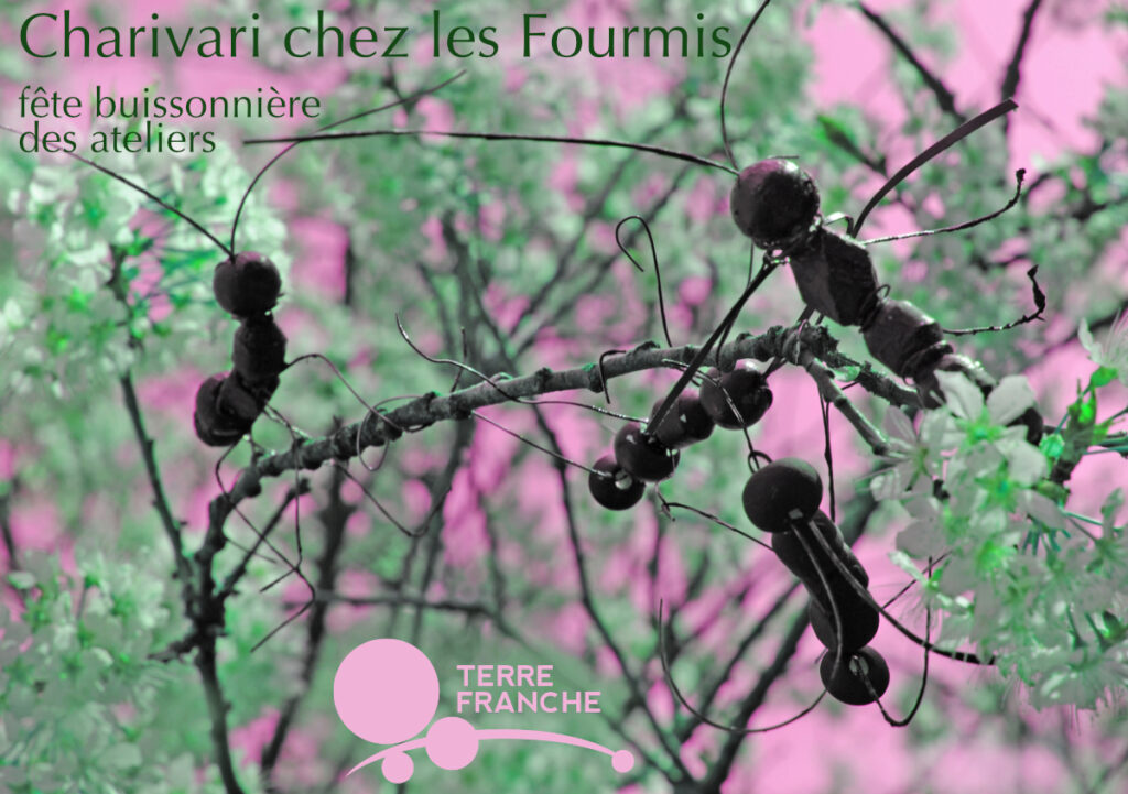 affichette de la fête avec photo de fourmis faites maison
