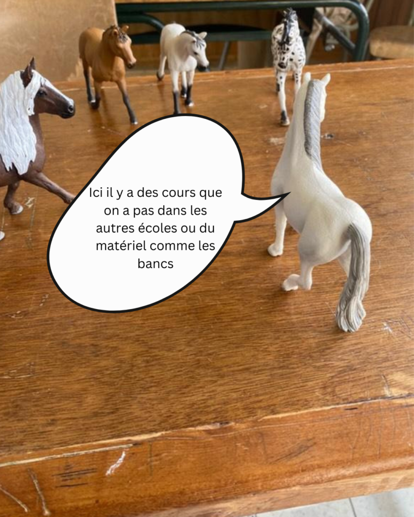La jument directrice donne les infos pratiques