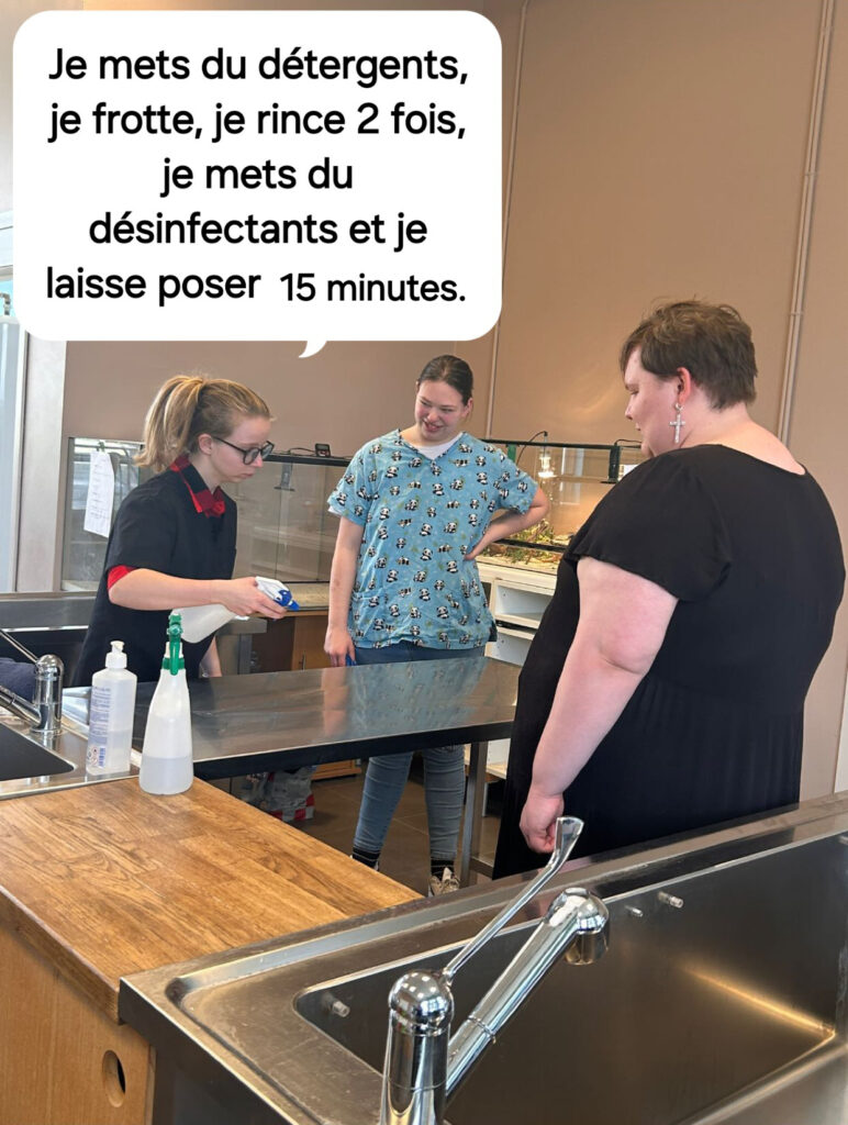 Démonstration de chirurgie sur un lapin : préparation de la table d'opération