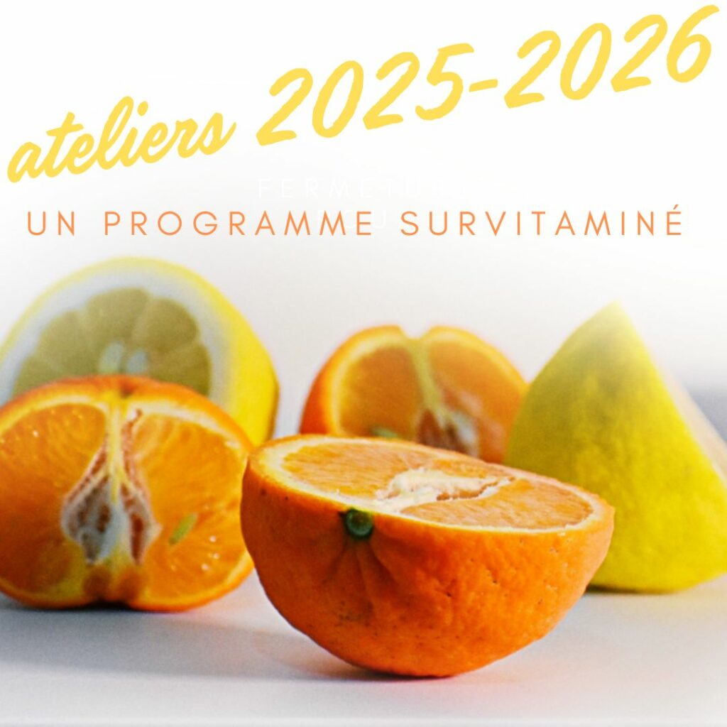 Ateliers 2025-2026, un programme survitaminé