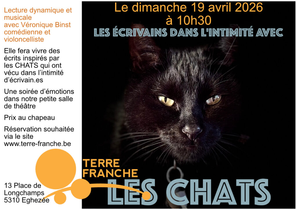 affichette avec une tête de chat noir