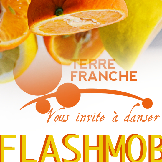 FLASHMOB, Terre Franche vous invite à danser !