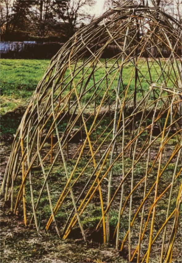 cabane en saule tissé