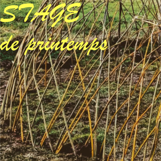 Lien vers le stage des vacances de printemps