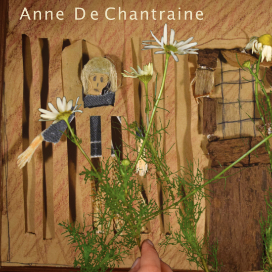 Lien vers la page du film sur Anne De Chantraine
